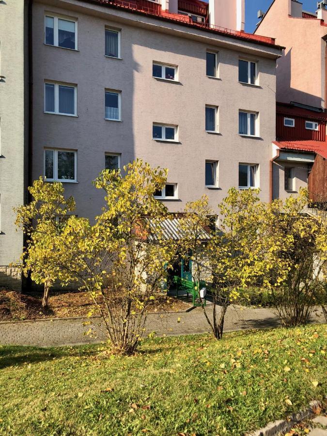Apartament Dzika Paproc Szczawnica Exterior foto